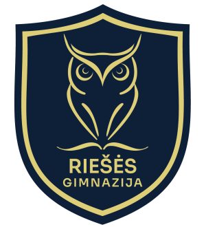 Vilniaus Riešės gimnazija (Nauja)